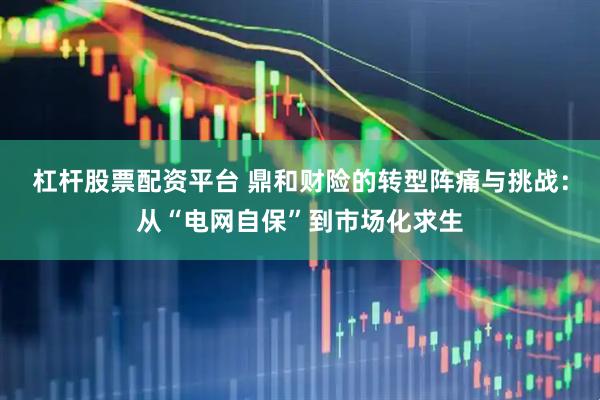 杠杆股票配资平台 鼎和财险的转型阵痛与挑战：从“电网自保”到市场化求生