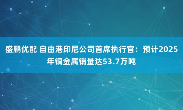 盛鹏优配 自由港印尼公司首席执行官：预计2025年铜金属销量达53.7万吨